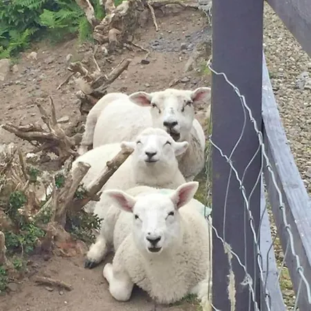 Into The Burren Gasthuis