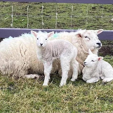 Gasthuis Into The Burren Murroogh