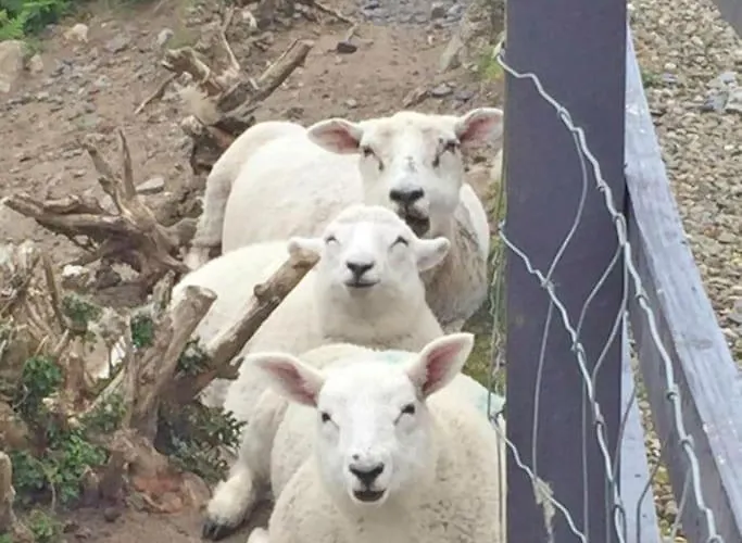 Into The Burren Guest house