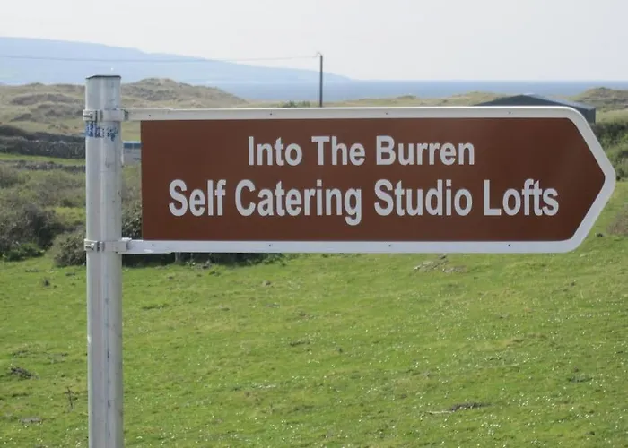 Into The Burren ゲストハウス 4*